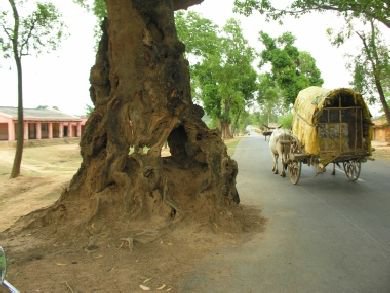 Motorradreise Indien Orissa